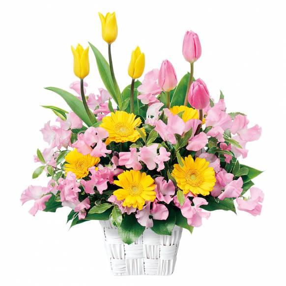 お誕生日の花 長崎県東彼杵郡波佐見町の花屋 西海園芸にフラワーギフトはお任せください 当店は 安心と信頼の花キューピット加盟店です 花キューピットタウン お誕生日の花 長崎県東彼杵郡波佐見町の花屋 西海園芸にフラワーギフトはお任せください 当店は 安心と信頼の花キューピット加盟店です 花キューピットタウン